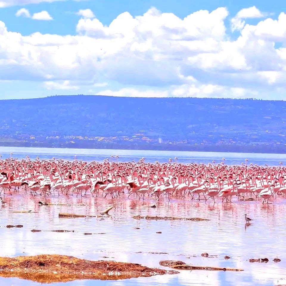 IMG 20250829 WA0053 1