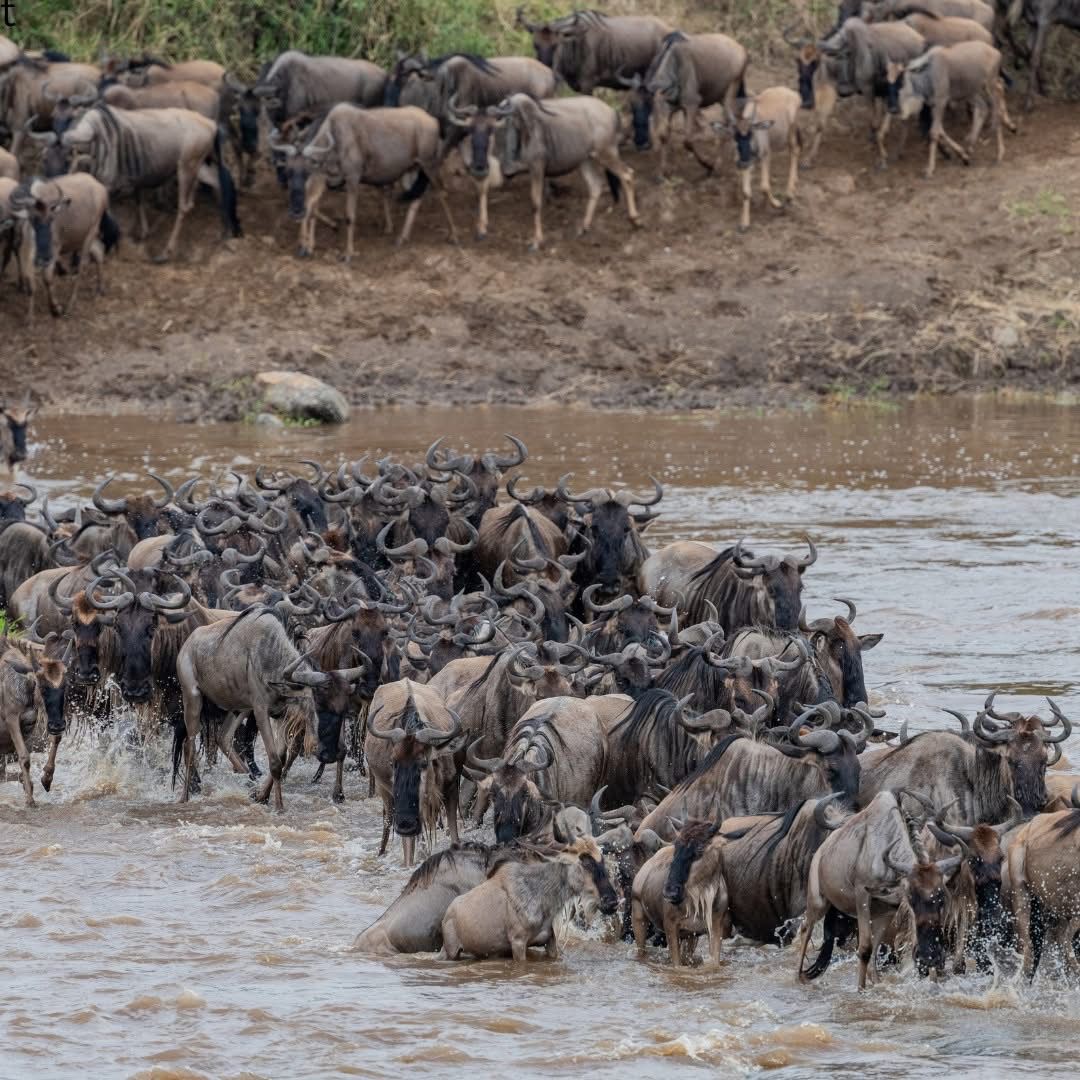 WhatsApp Image 2025 08 29 at 20.49.05_2a40831d 1