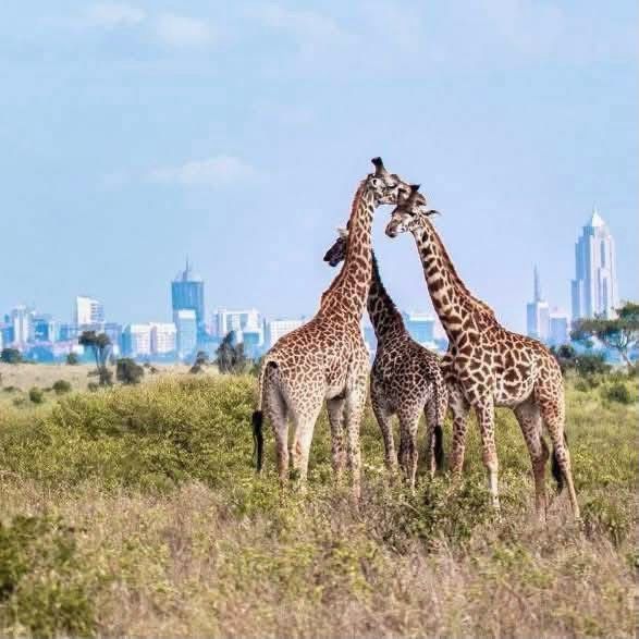 WhatsApp Image 2025 08 29 at 22.13.51_85e4fb8d 1