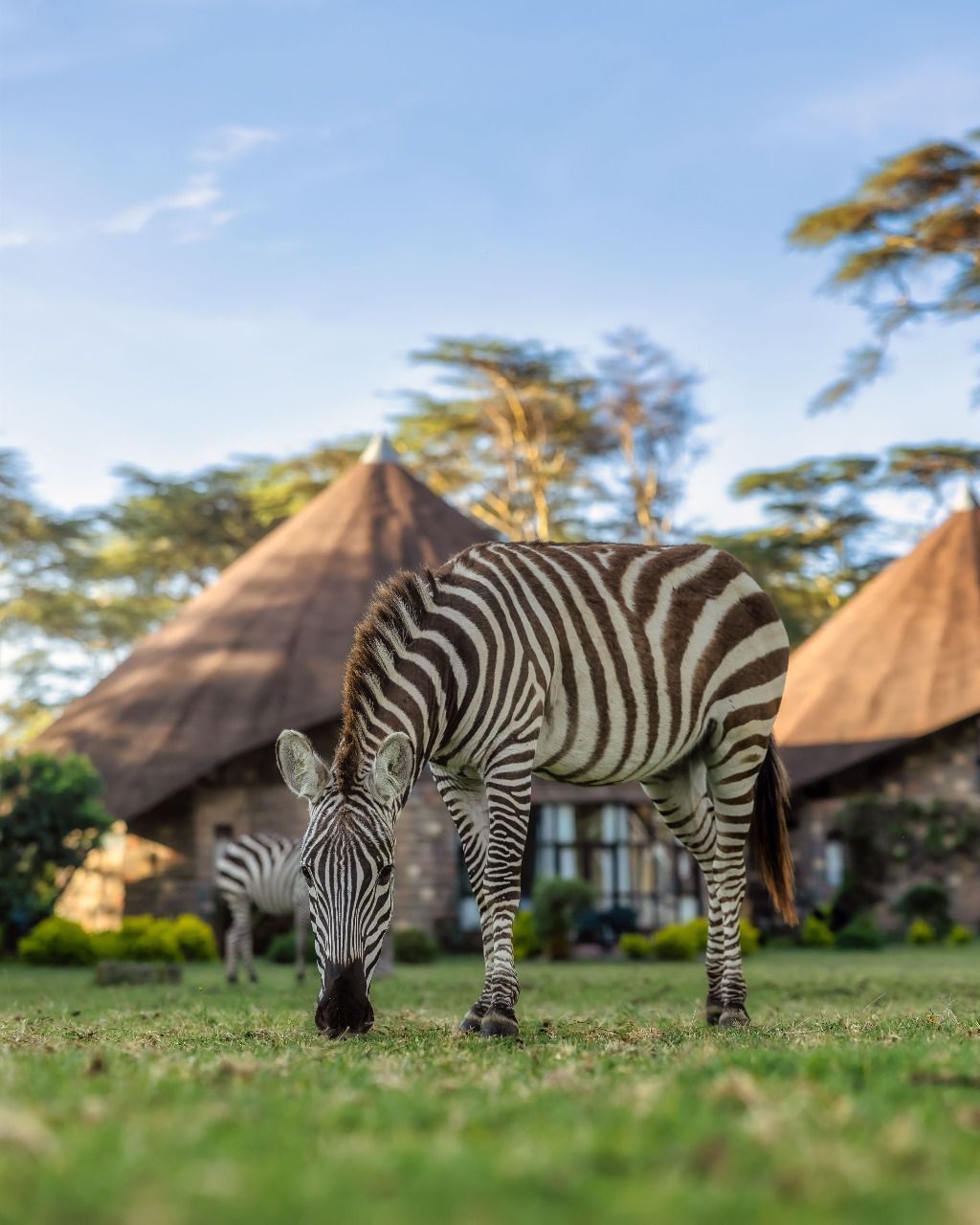 WhatsApp Image 2025 08 29 at 22.26.53_8ff1b729 1