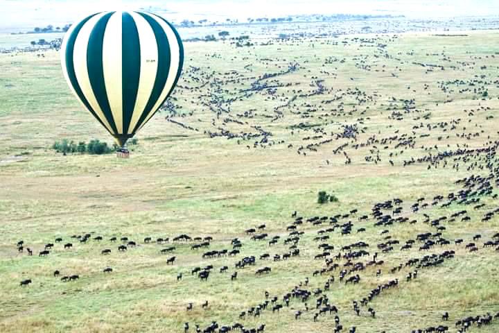 WhatsApp Image 2025 08 29 at 22.32.14_edb45b4f 1